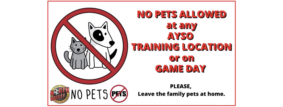 No Pets Allowed